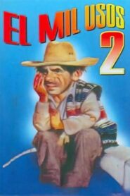 El Mil Usos II 1984 one on netflix
