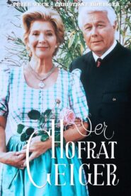 Hofrat Geiger 1996 one on netflix