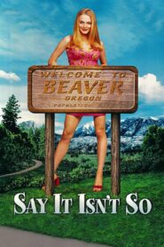 Say It Isn’t So 2001 one on netflix