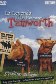 The Legend of the Tamworth Two 2004 one on netflix