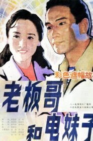 Brother Boss and Sister Electrician 1984 one on netflix