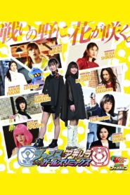 Kamen Rider Jeanne & Kamen Rider Aguilera with Girls Remix 2023 one on netflix