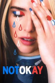 Not Okay 2022 one on netflix