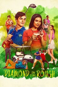 Diamond in the Rough 2022 one on netflix