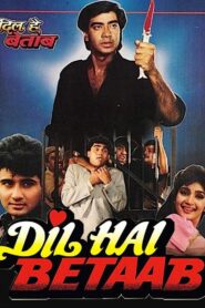 Dil Hai Betaab 1993 one on netflix