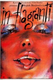 In flagranti 1991 one on netflix