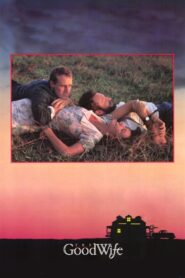 The Good Wife 1987 one on netflix