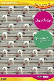 Splendeur et gloire des Deschiens 2007 one on netflix