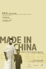 Made in China 2007 one on netflix