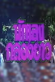 The Rowdy Bunch 1994 one on netflix