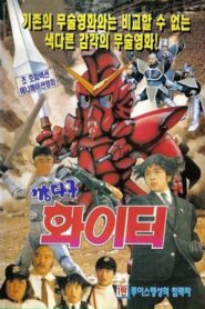 Fighting Fighter 1992 one on netflix