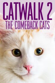 Catwalk 2: The Comeback Cats 2022 one on netflix