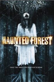 Haunted Forest 2007 one on netflix