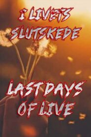 Last Days of Life 2013 one on netflix