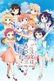 Is the Order a Rabbit?? Dear My Sister 2017 one on netflix