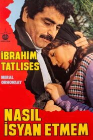 Nasıl İsyan Etmem 1982 one on netflix