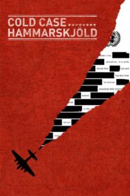 Cold Case Hammarskjöld 2019 one on netflix