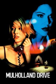 Mulholland Drive 2001 one on netflix