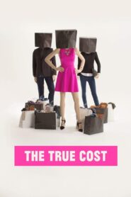 The True Cost 2015 one on netflix