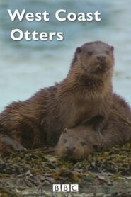 West Coast Otters 2005 one on netflix