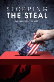 Stopping the Steal 2024 one on netflix