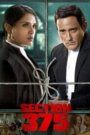 Section 375 2019 one on netflix