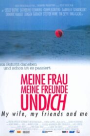 Meine Frau, meine Freunde und ich 2004 one on netflix