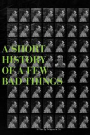 A Short History of a Few Bad Things 2018 one on netflix