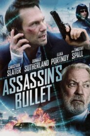Assassin’s Bullet 2012 one on netflix