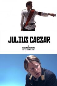 Julius Caesar 2010 one on netflix