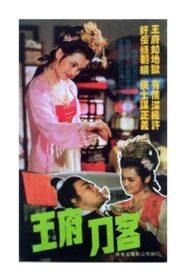 王府刀客 1990 one on netflix