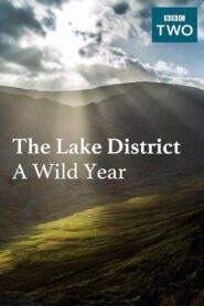 The Lake District: A Wild Year 2017 one on netflix