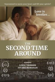 The Second Time Around 2016 one on netflix