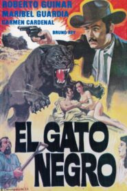 El Gato Negro 1987 one on netflix