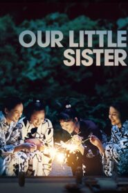 Our Little Sister 2015 one on netflix