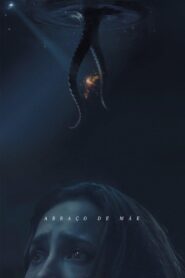 A Mother’s Embrace 2024 one on netflix