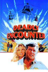 Deadly Encounter 1982 one on netflix