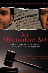 An Affirmative Act 2010 one on netflix
