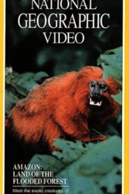 Amazon: Land of the Flooded Forest 1990 one on netflix