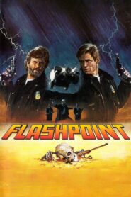 Flashpoint 1984 one on netflix