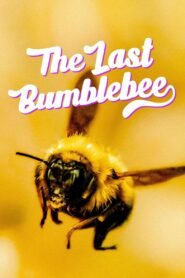 The Last Bumblebee 2024 one on netflix