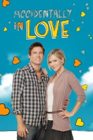 Accidentally in Love 2011 one on netflix
