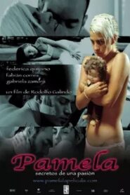 Pamela: secretos de una pasión 2008 one on netflix