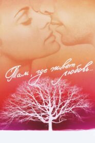 Where Love Lives 2006 one on netflix