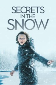 Secrets in the Snow 2020 one on netflix
