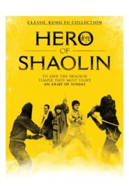 Guards of Shaolin 1984 one on netflix