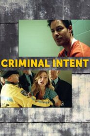 Criminal Intent 2005 one on netflix