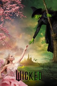 Wicked 2024 one on netflix