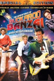 Buckaroo Banzai Declassified 2002 one on netflix