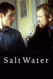 Saltwater 2000 one on netflix